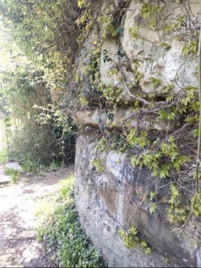 谷戸の入口にはむき出しの岩 