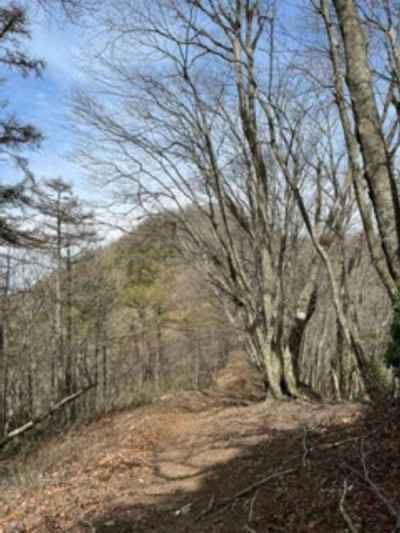 山頂直下より