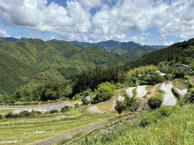 棚田と果無山（はてなしやま） 