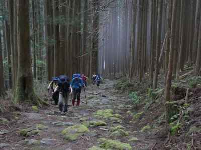 大雲取越えの急登（胴切坂） 