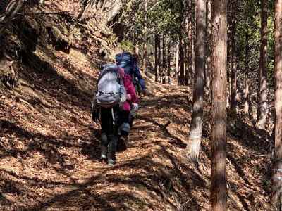 木漏れ日の登山道