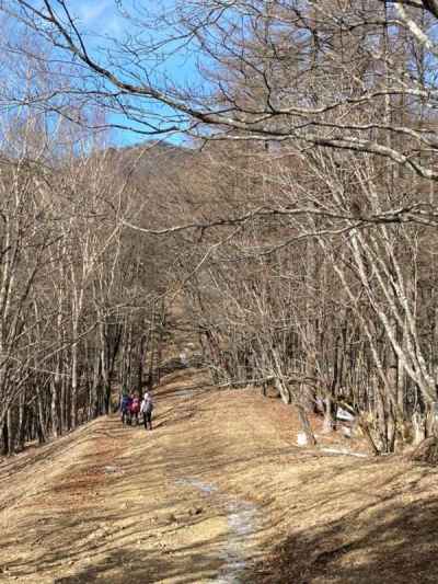 雲取山への尾根道