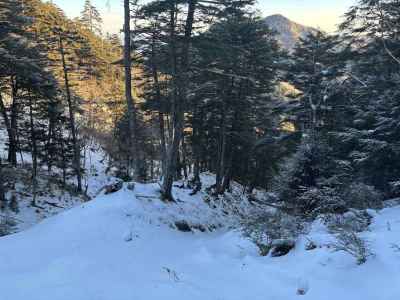 雪の巻道