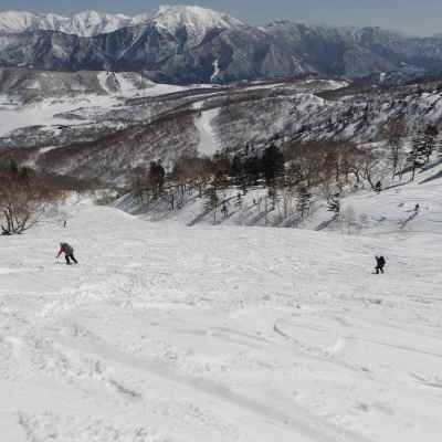 広い無木立の斜面