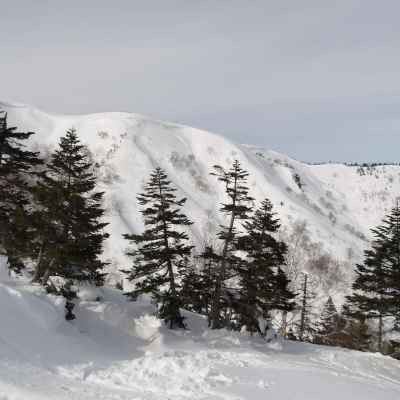 雁が峰の尾根には表層雪崩