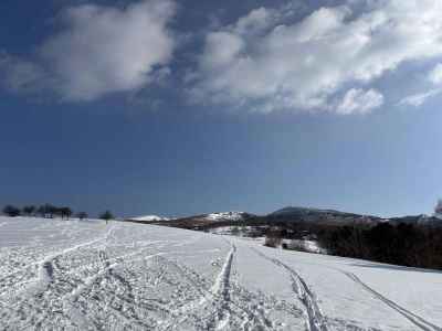 雪原（牧草地）
