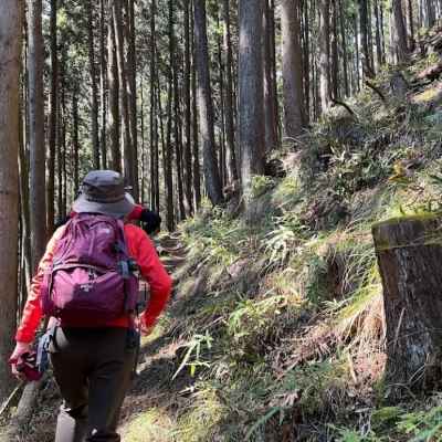 地味にきつい登りが続く 