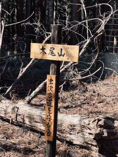登り返して太尾山山頂を通過 