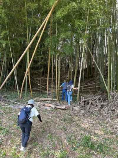 険しい坂道を慎重に登る