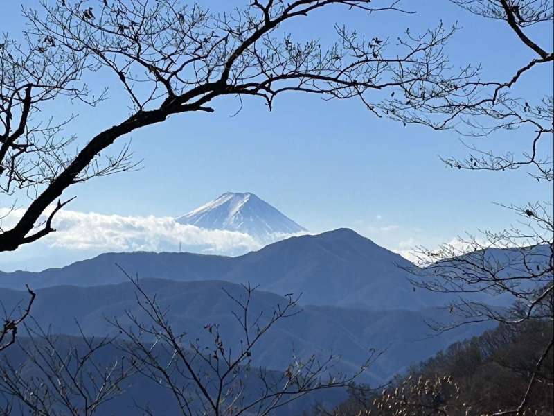 雲取山から見た富士山
