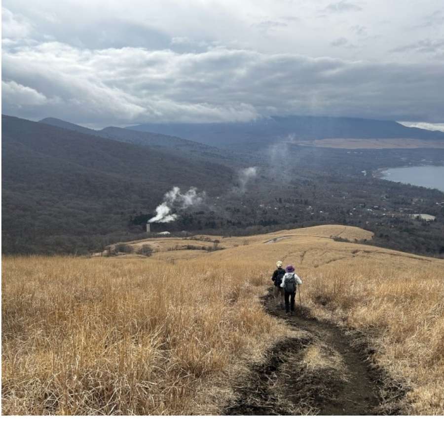 パノラマ台に向けカヤト林を下る