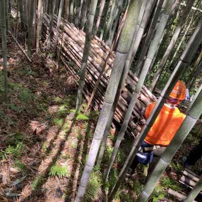 集積所まで運ぶ 