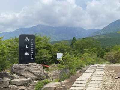 真教寺尾根登山口 