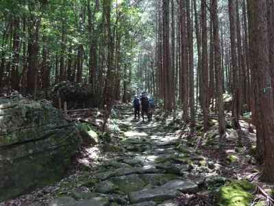 鷲毛登山口を入り「夜泣石」辺り
