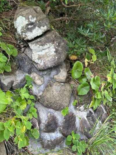 昔の石垣か？？ 