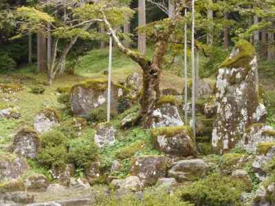 諏訪館跡庭園 