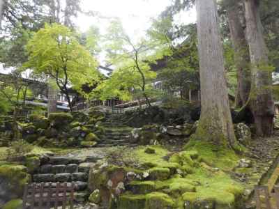 境内には素敵な庭園が広がっている 