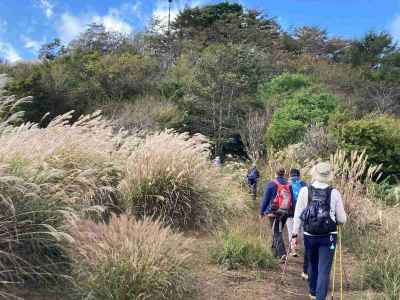 快晴の縦走路はススキが満開