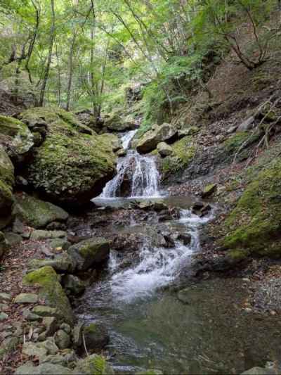 渓相が穏やかになりますが