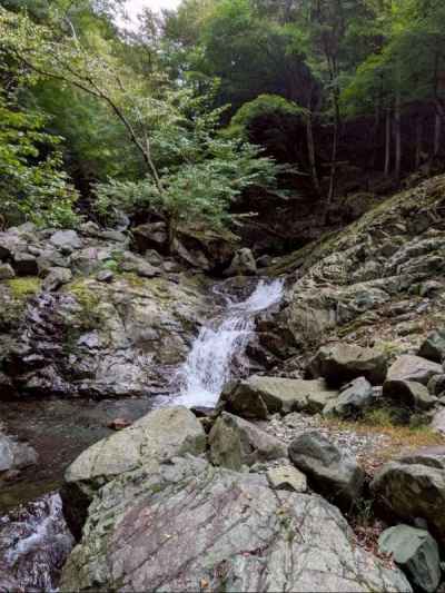 入渓間もない渓相 