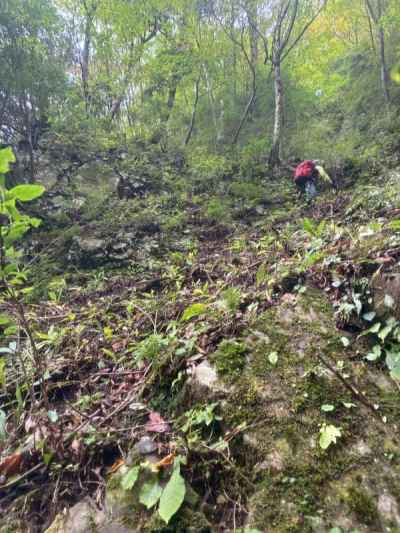大滝を巻きます♪巻きます♪（鶴太郎風に） 