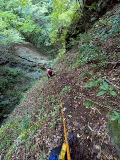 泥壁も登ります 