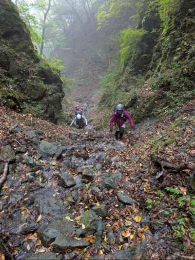 そろそろ源頭も近い 