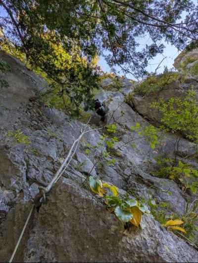朝イチリードでAさん緊張…してないね？ 