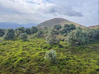 視界が開けて竜ヶ岳が見える 