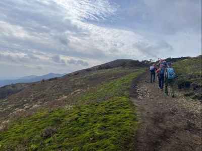 たおやかな稜線 