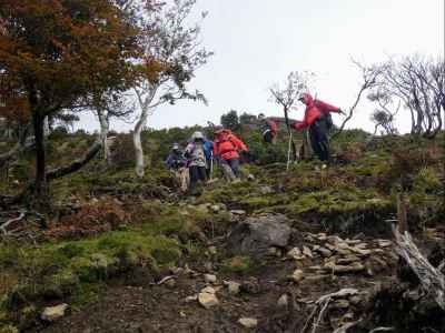 樹林帯の激下り 