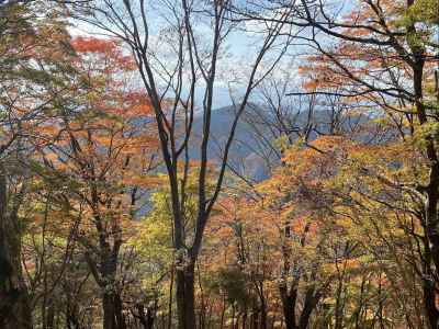 紅葉がまぶしい