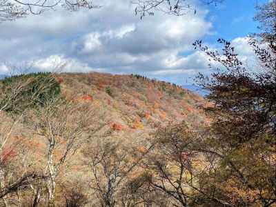振り返る紅葉の檜岳