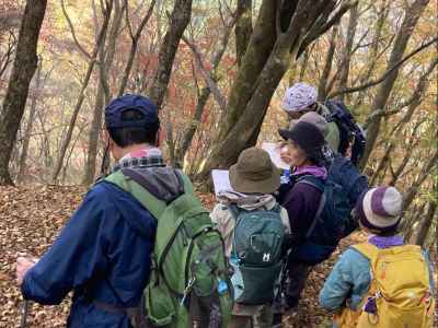 地図読みで伊勢沢ノ頭南東尾根を下る