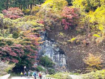 林道の紅葉も見事