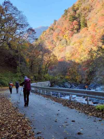 芝沢ゲートへ戻る