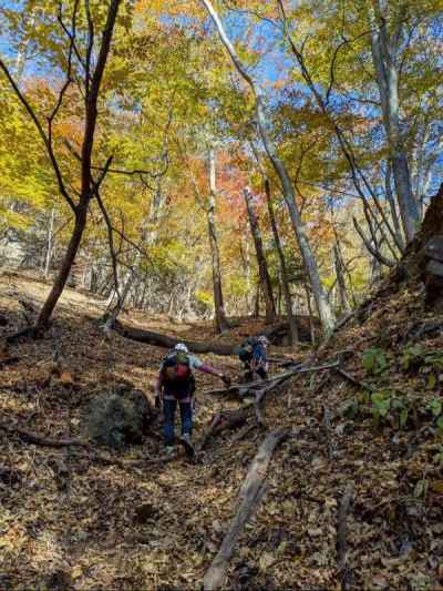 紅葉がいい感じ♪ 