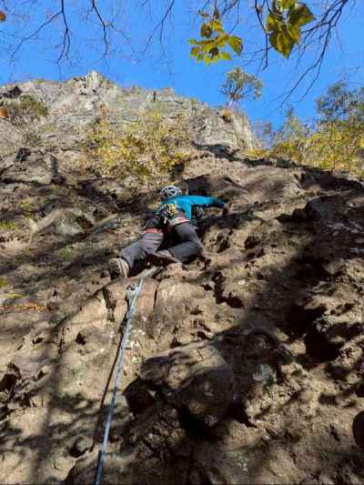 マルチルート、木戸壁の偵察に… 