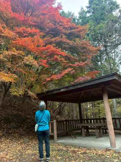 イレブンKさん、紅葉に何想う？ 