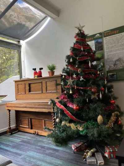 ﾎﾟﾝﾎﾟﾛｰﾅﾛｯｼﾞのｸﾘｽﾏｽﾂﾘｰ&nbsp;