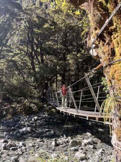 木と木を繋いだ吊橋&nbsp;