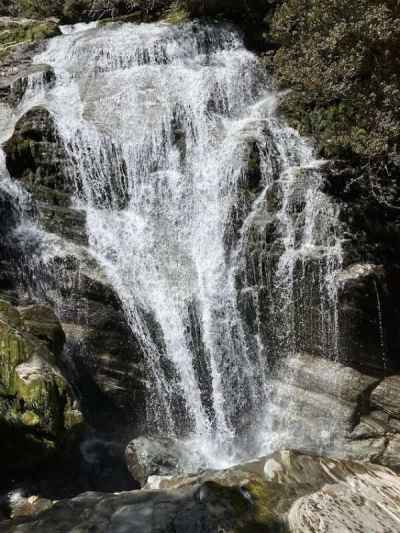 シェルターランドフォール&nbsp;