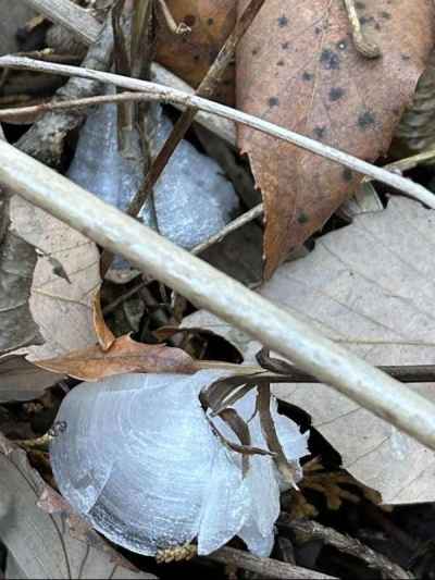 小さくて可愛い