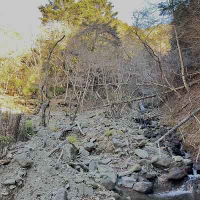 右に春岳沢、左にモミジ谷の中尾根