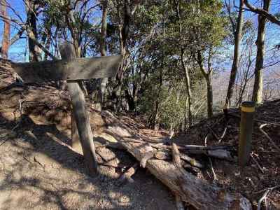 矢草ノ頭（梅ノ木尾根入口）