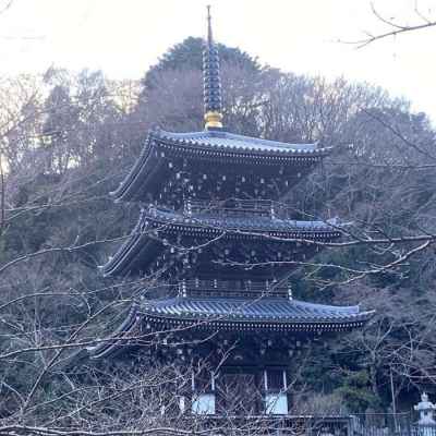 現在の浄発願寺&nbsp;