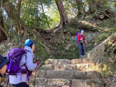 リーダーは快調のようです
