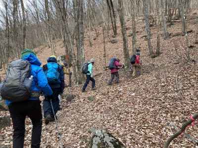 枯れ葉の積もる急登&nbsp;