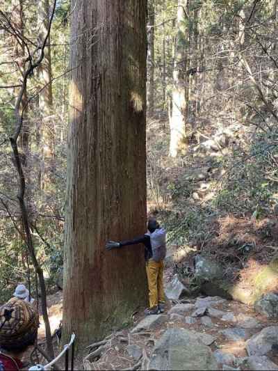 巨木からパワーをもらう