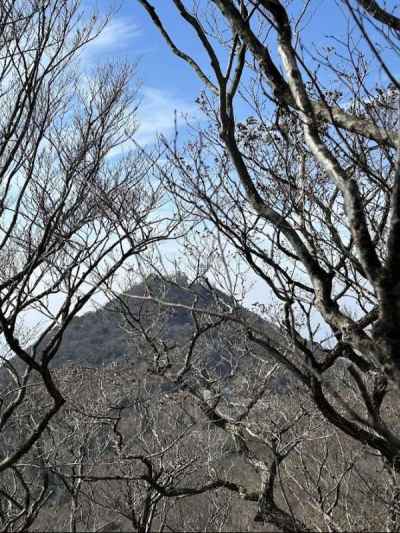 男体山が見えた